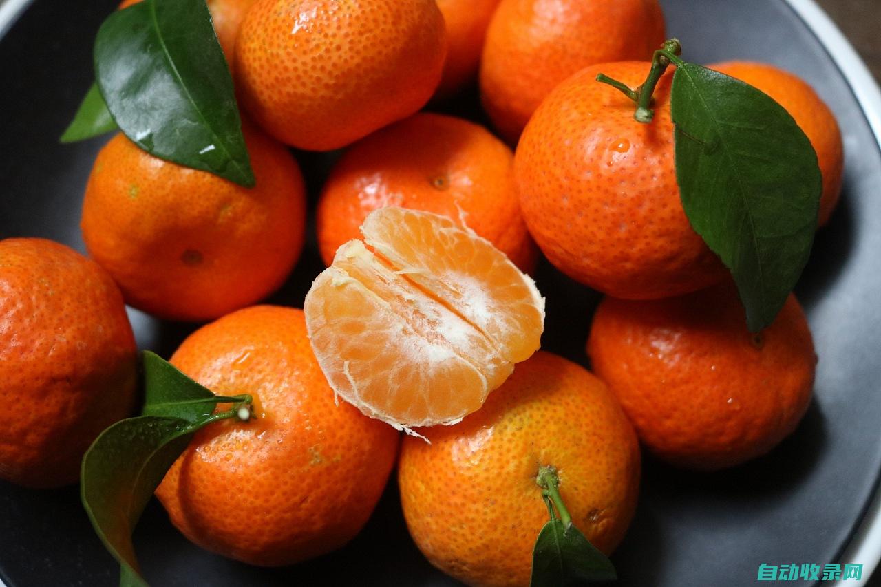 砂糖橘为什么便宜 (为何砂糖橘都是带叶卖 你知道吗 原来有 当天终于明确 猫腻)