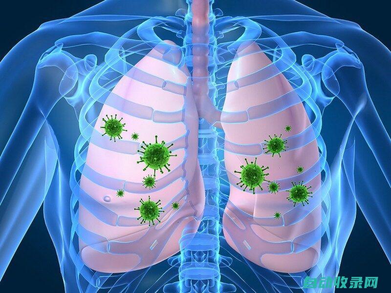 呼吸道疾病高发期是什么季节 (呼吸道疾病高发 如何防治 焦点访谈)
