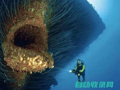 海沟发现巨型生物 (海沟发现巨型岩石 直径长达120千米 绝非臆断 日本漂浮)